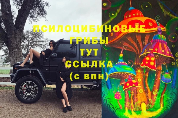 a pvp Абинск
